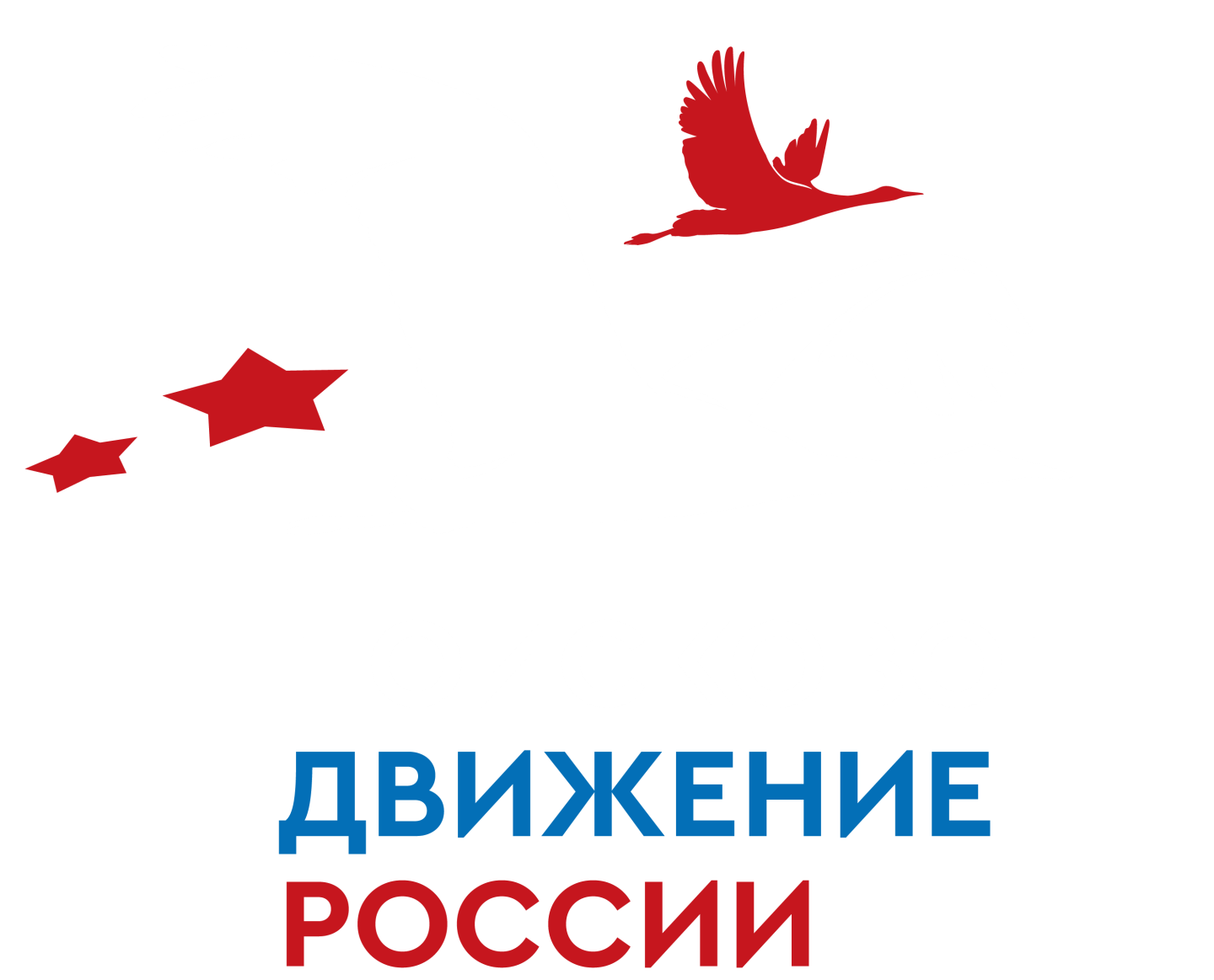 Поисковое движение России по Архангельской области